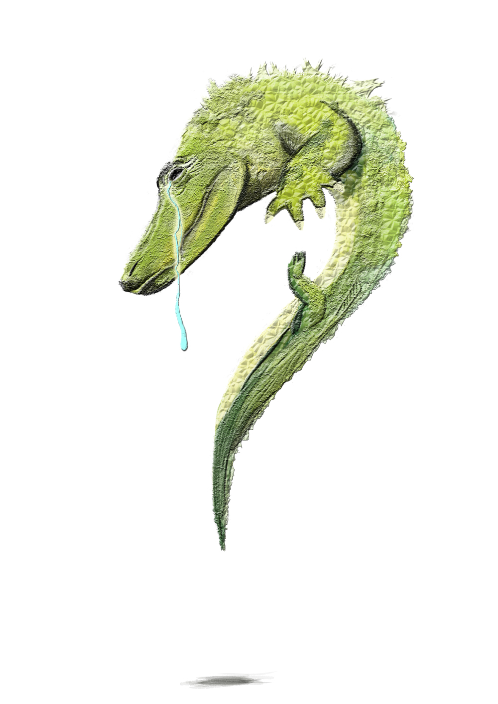 Le crocodile illustration get bold design gael barnabe ©